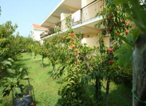 Гостиница Bed and Breakfast Cirelli  Шалеа